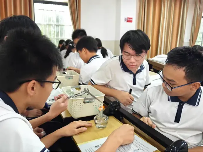 【中学化学】万宁市2026年中考化学备考培训会简报 第6张