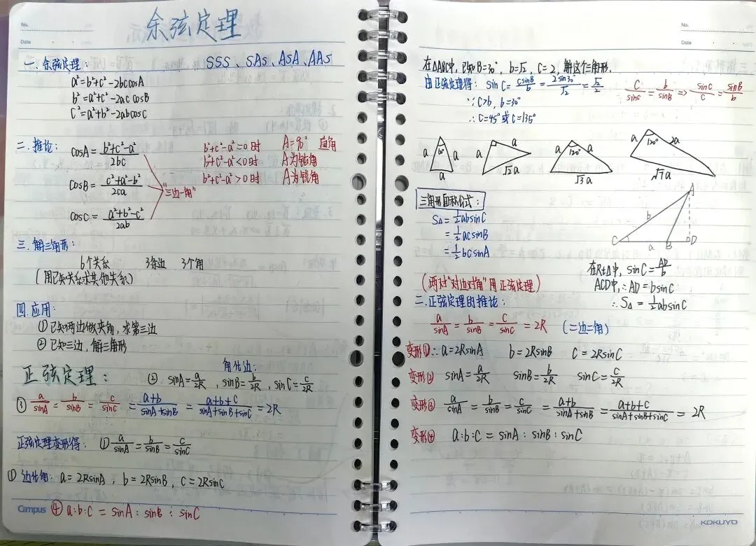 从课堂到考场,从笔记到试卷 | 新高教学子给出了一份满意的答卷! 第18张