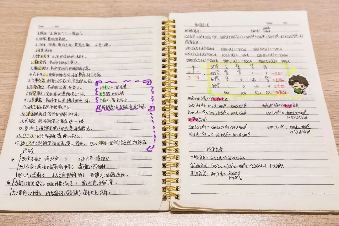 从课堂到考场,从笔记到试卷 | 新高教学子给出了一份满意的答卷! 第21张