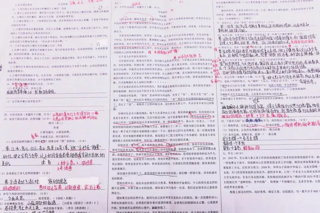 从课堂到考场,从笔记到试卷 | 新高教学子给出了一份满意的答卷! 第31张