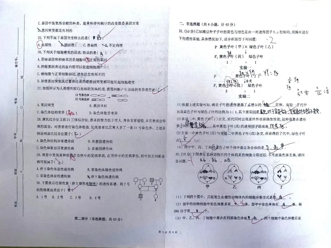 从课堂到考场,从笔记到试卷 | 新高教学子给出了一份满意的答卷! 第34张