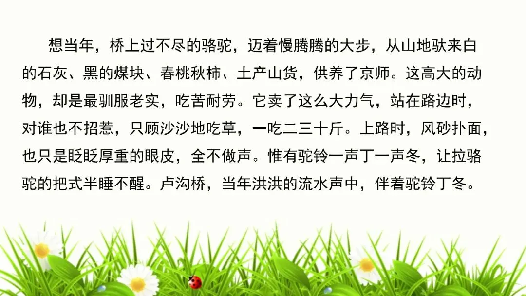 【试卷+课件】2026届山东临沂市高三二模语文试卷讲评课件 第42张