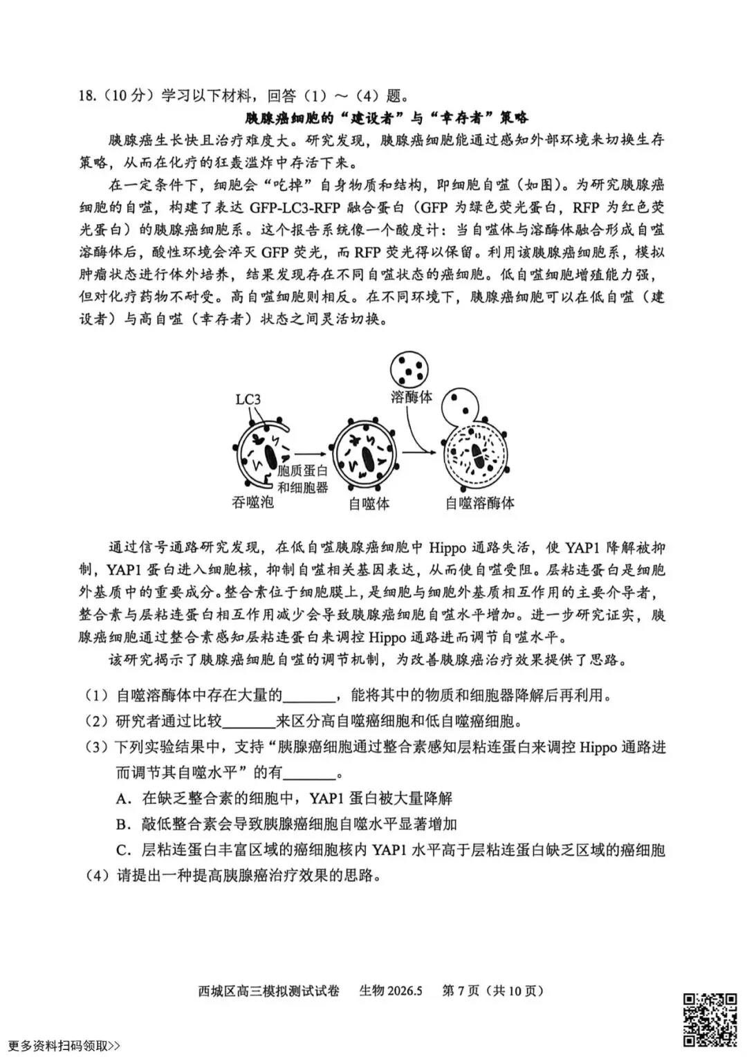 2026北京西城高三二模生物试卷(含答案) 第7张