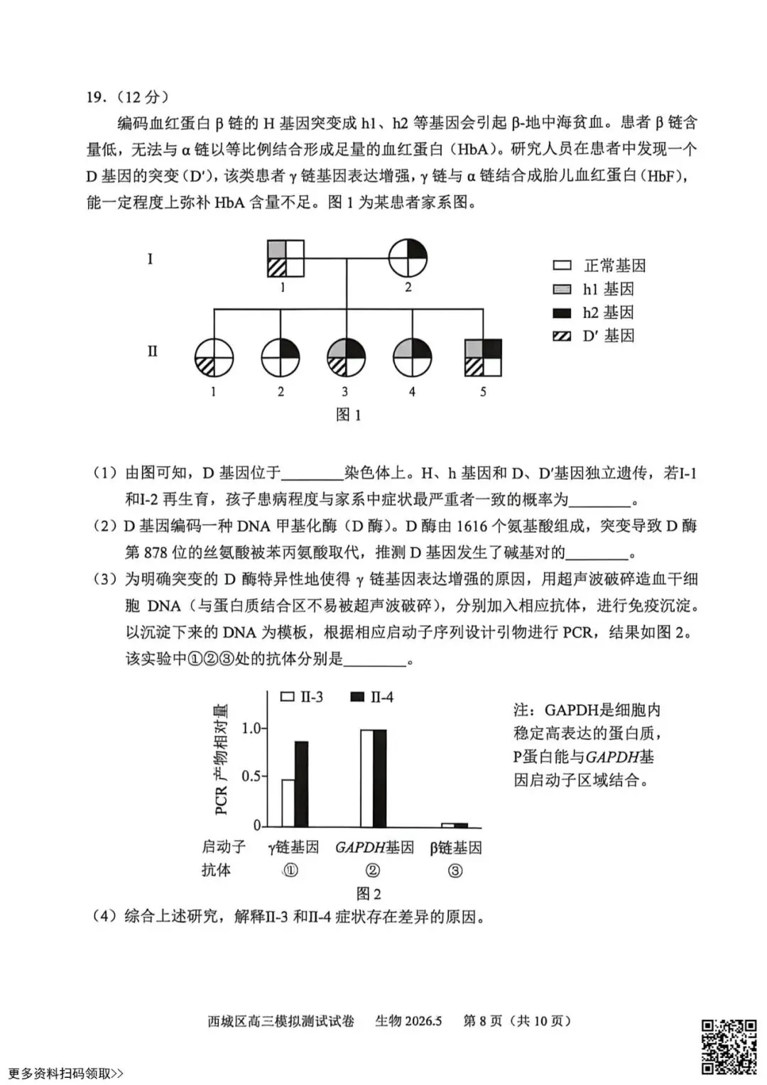 2026北京西城高三二模生物试卷(含答案) 第8张