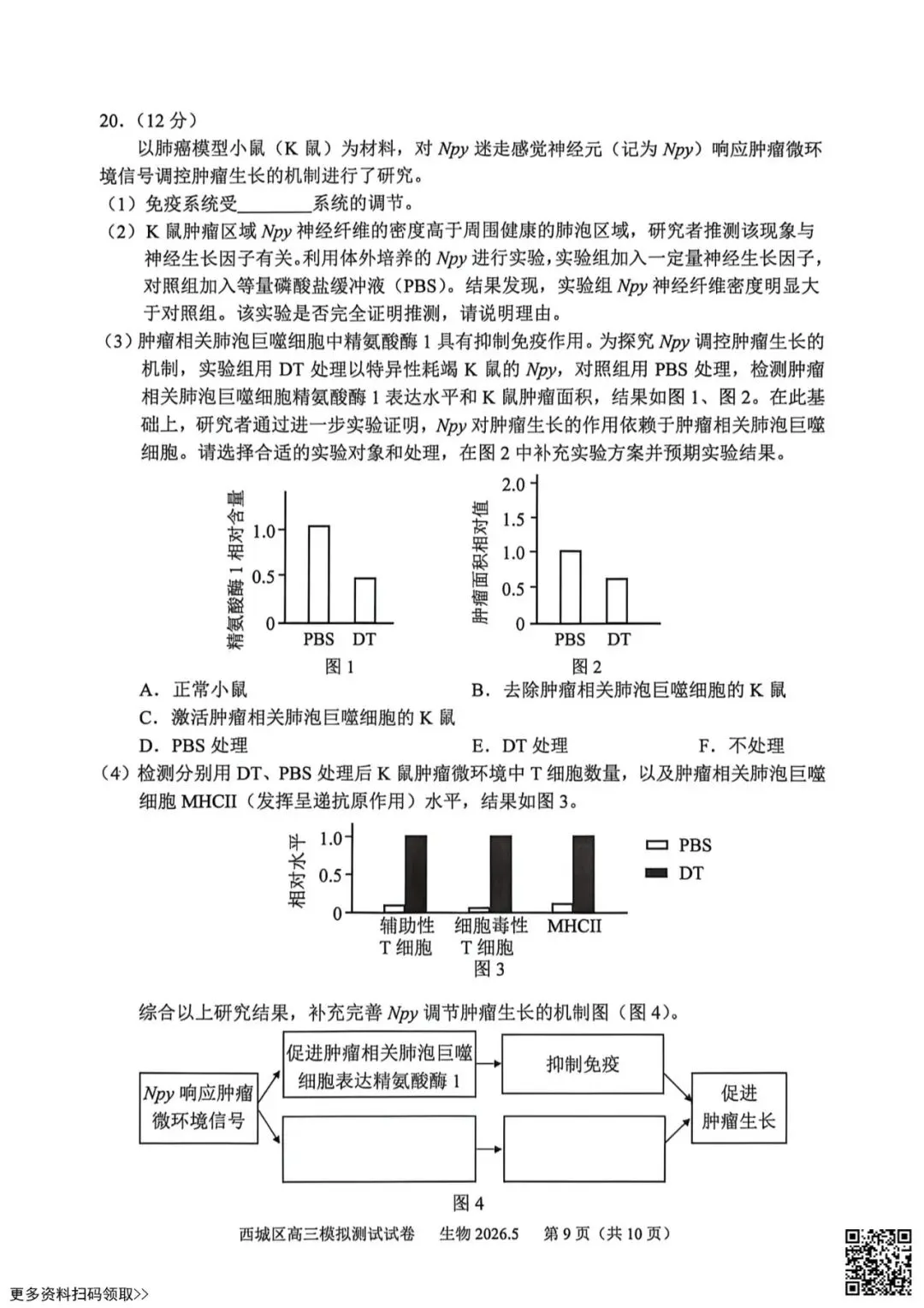 2026北京西城高三二模生物试卷(含答案) 第9张