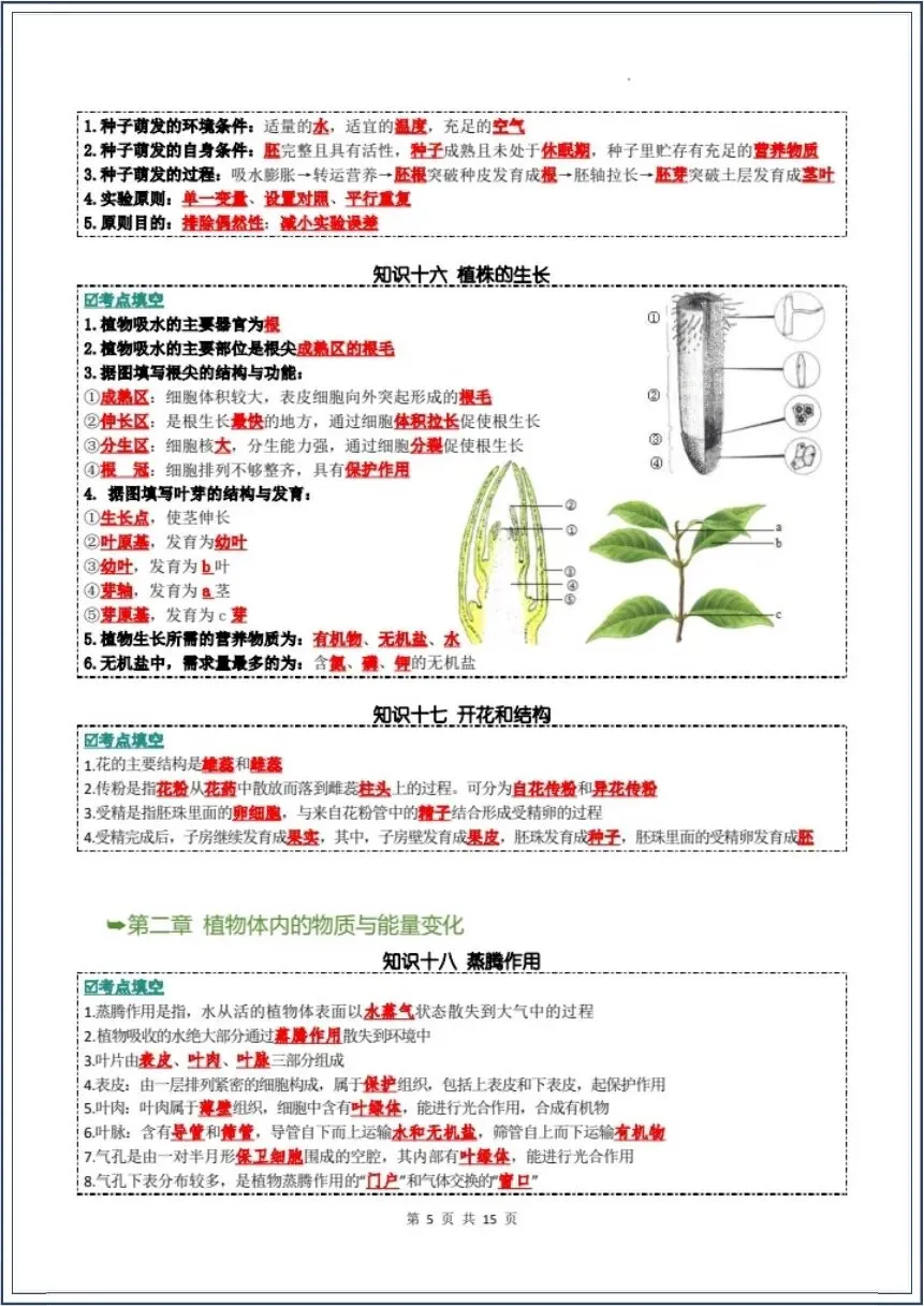 中考生物|全册核心知识点汇总(背诵版+填空版)吃透这份生物知识点,学霸都在背 第6张