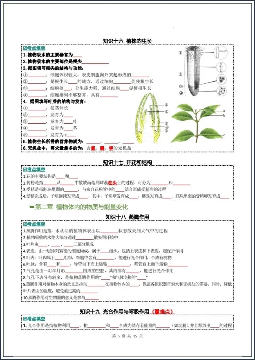 中考生物|全册核心知识点汇总(背诵版+填空版)吃透这份生物知识点,学霸都在背 第14张