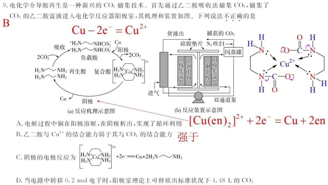 2026年5月联考高三强基联盟化学试卷解析与讲评 第11张