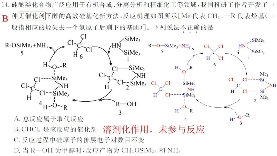 2026年5月联考高三强基联盟化学试卷解析与讲评 第23张