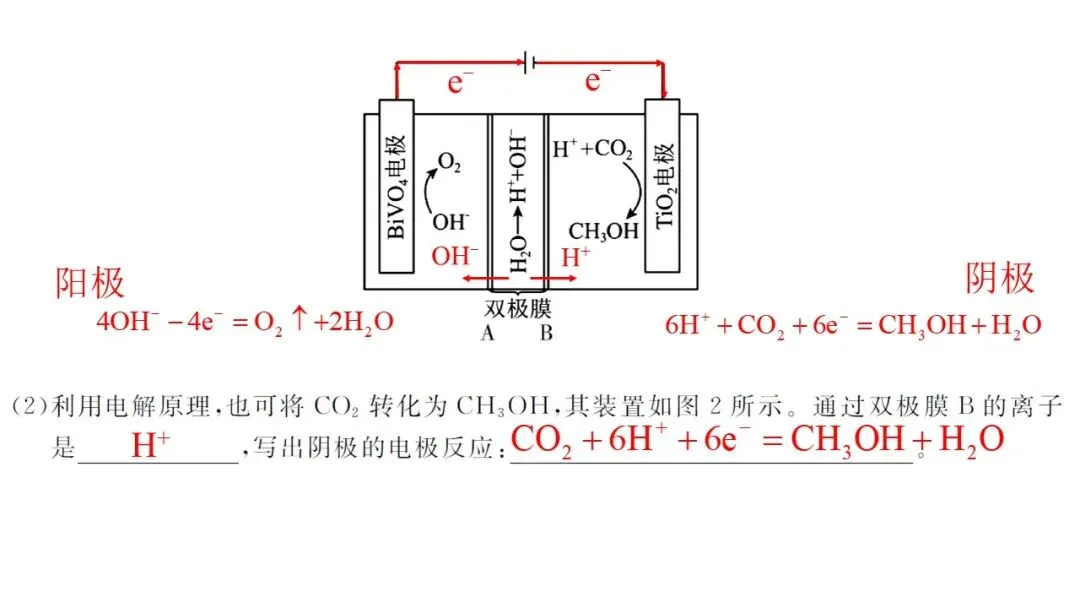 2026年5月联考高三强基联盟化学试卷解析与讲评 第37张