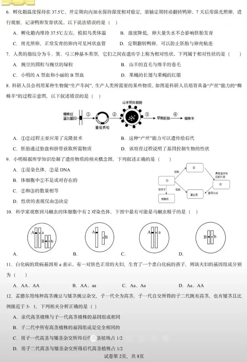 期末试卷:人教版生物八年级下册期末考试模拟卷(一) 第3张