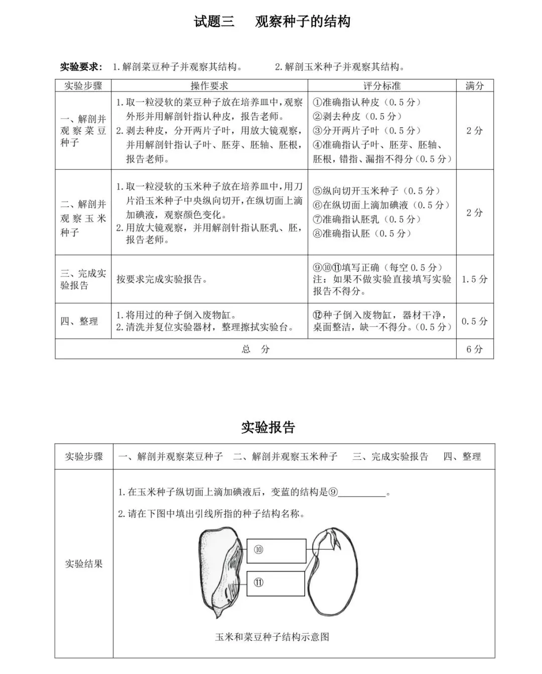 初中生物 | 中考生物实验操作考试试题(含评分标准) 第5张