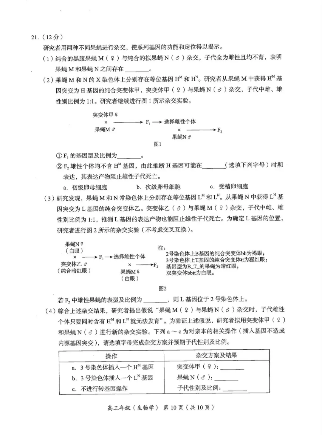 2026年北京海淀区高三二模生物学试卷和参考答案 第10张