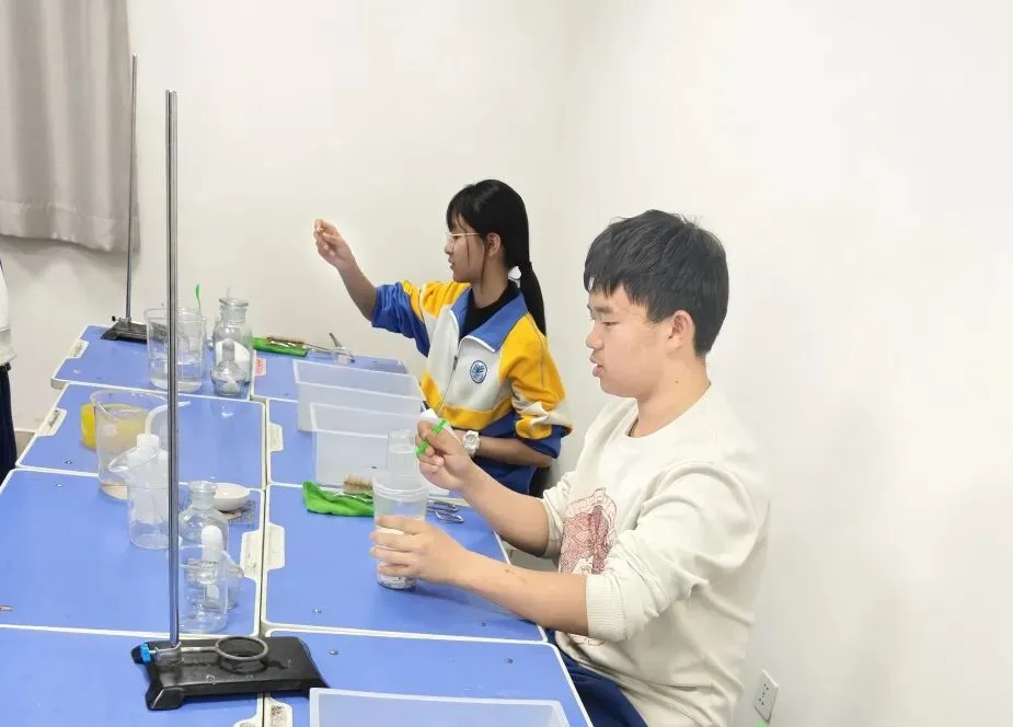 强化实验操作,全力备战中考——成功初三学子实验操作训练纪实 第12张