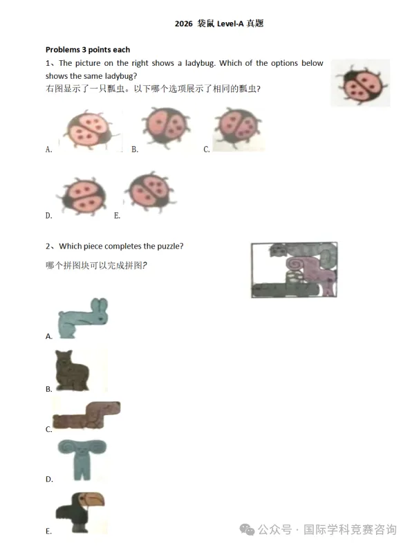2026年袋鼠数学竞赛官方真题pdf下载(含答案&解析) 第4张