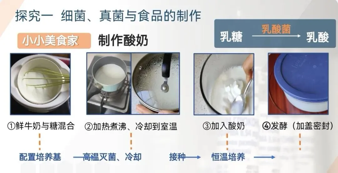 中考必看|新教材初中生物综合实践项目考点+实例题汇总 第3张