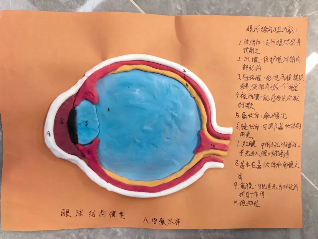 中考必看|新教材初中生物综合实践项目考点+实例题汇总 第6张