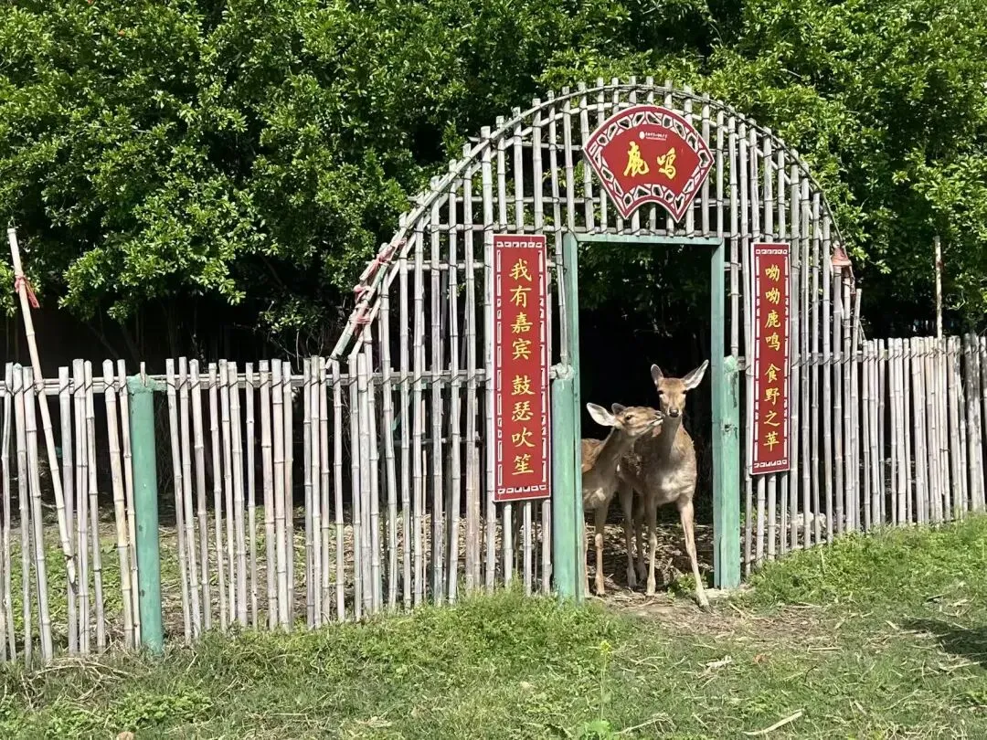 离中考36天丨焦虑睡不着怎么办? 第4张