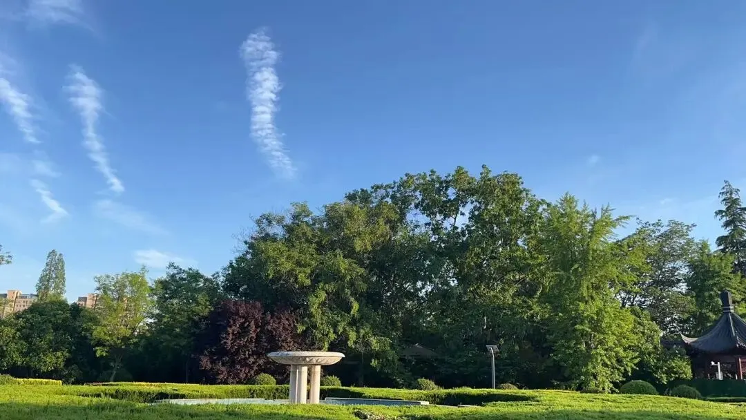 【中考倒计时第36天】错过的都不重要 第1张