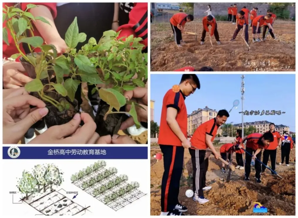 2026中考云看校①【大连金桥高级中学】大连中小学心理健康教育基地校,用“心”助力成才. 第14张