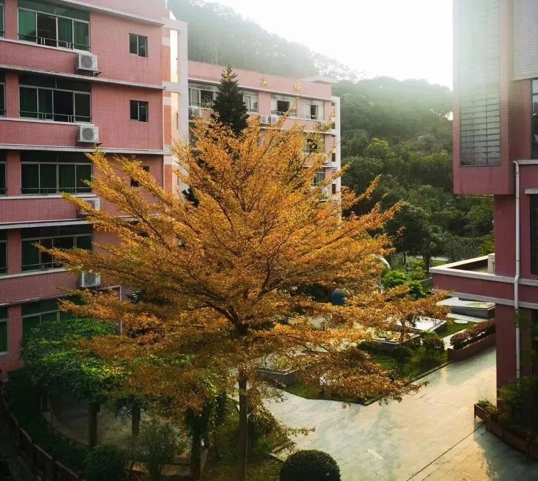中考|南沙高中开放日汇总,家长们记得留意收藏! 第14张