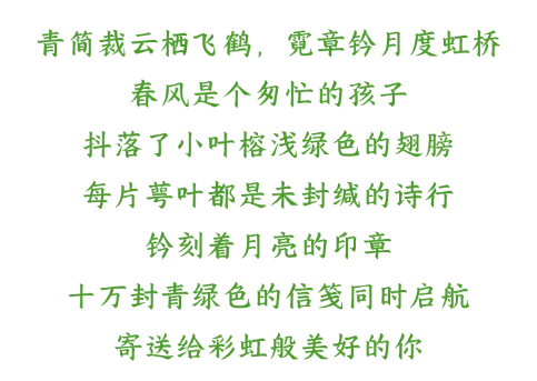 中考|南沙高中开放日汇总,家长们记得留意收藏! 第71张