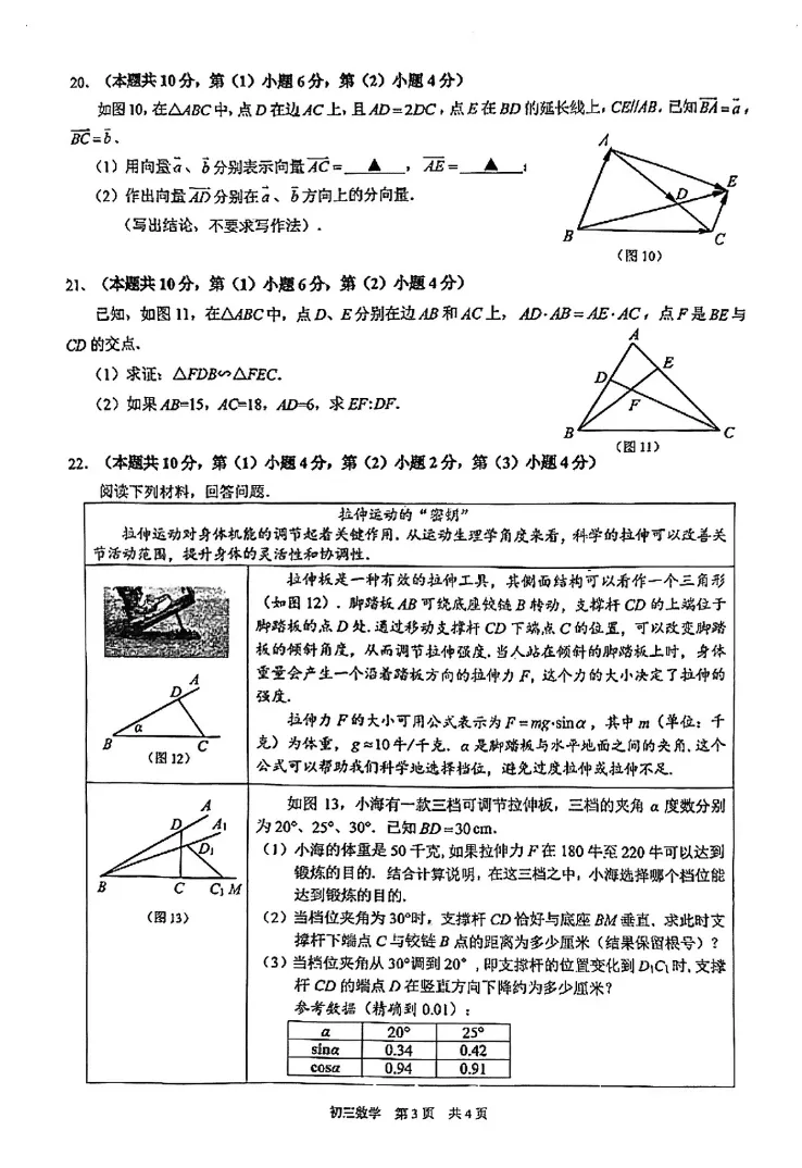 【中考一模】2026届浦东初三一模数学试卷(含答案) 第5张