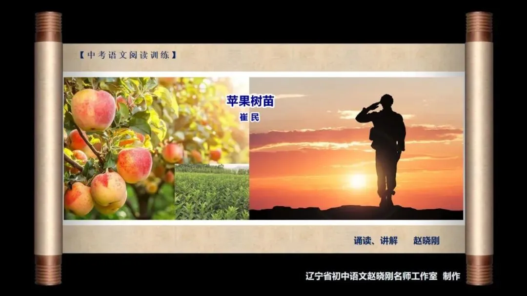 【中考阅读指导】苹果树苗(崔民)四川达州2025 第2张