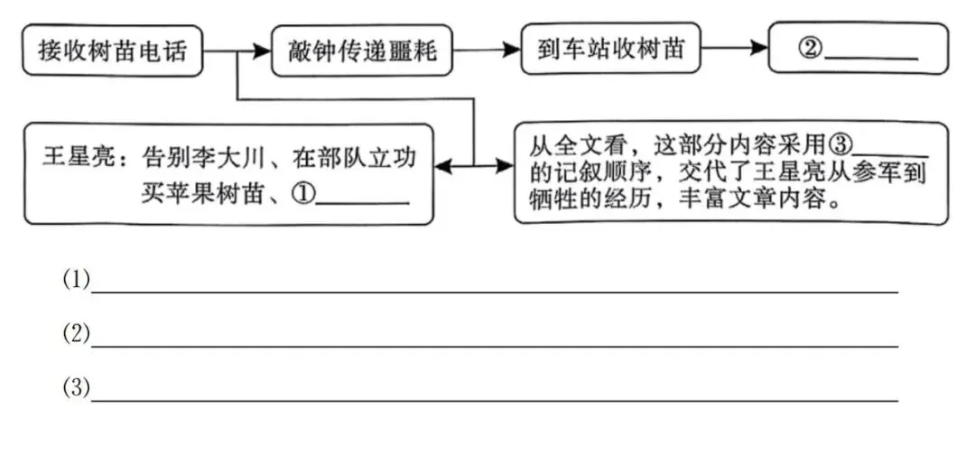 【中考阅读指导】苹果树苗(崔民)四川达州2025 第3张
