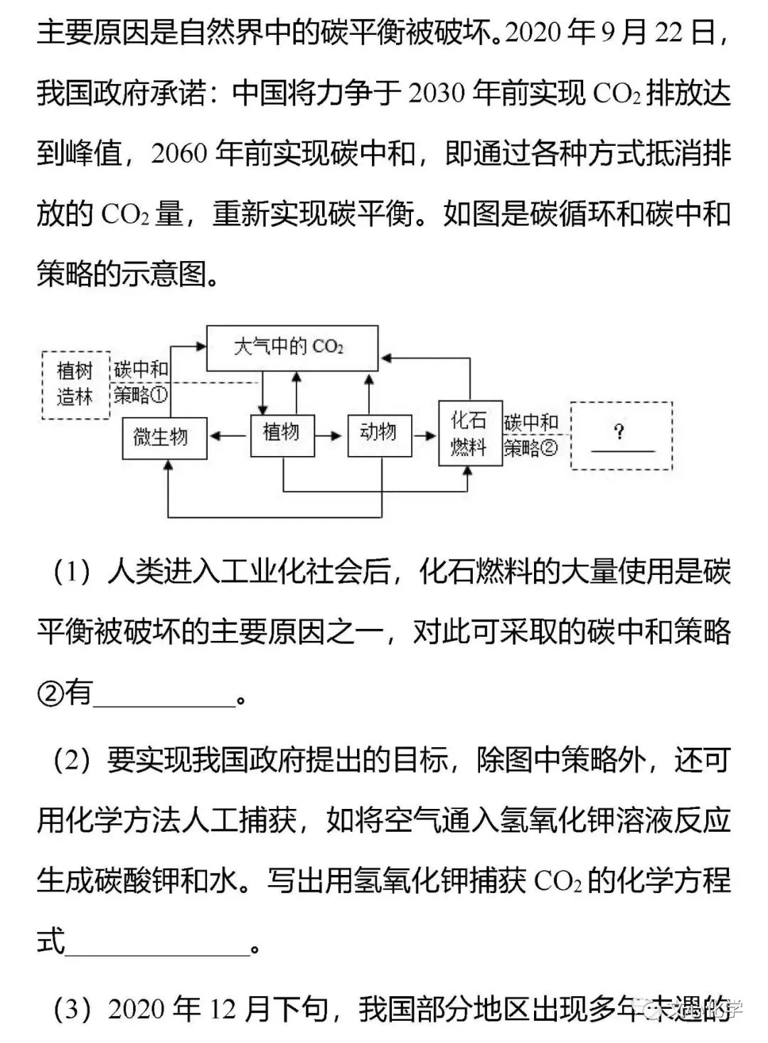 【中考专练】《“碳达峰”、“碳中和”》专题精练(分享打印版) 第9张