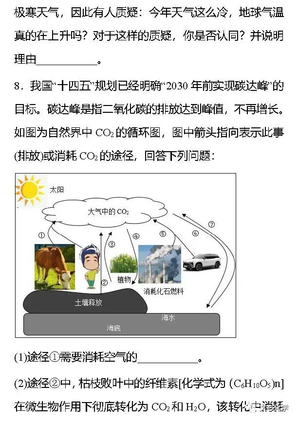 【中考专练】《“碳达峰”、“碳中和”》专题精练(分享打印版) 第10张