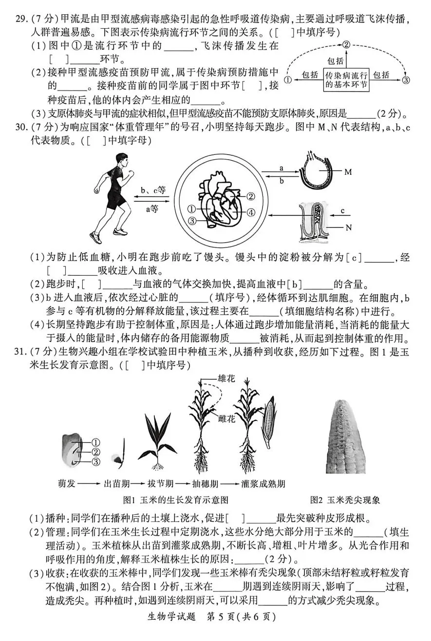 初中生物中考复习5月质检福建厦门市统考试卷+参考答案,有pdf文档 第5张