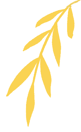 杭州二中2025学年第二学期高一年级期中考英语应用文满分攻略:为什么“传统文化”也能在校园里变得很潮? 第6张