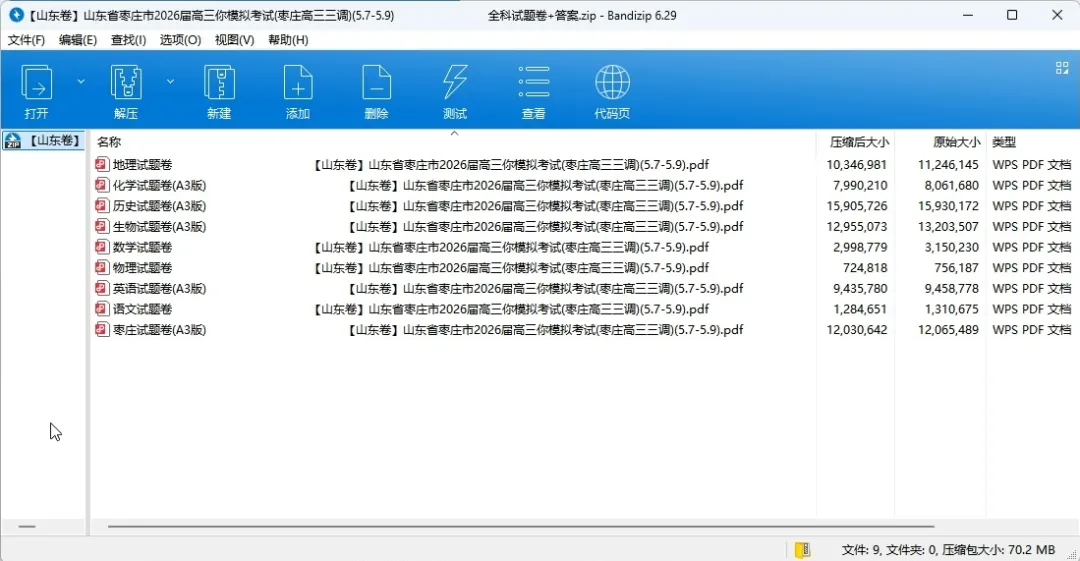 【山东卷】山东省枣庄市2026届高三你模拟考试(枣庄高三三调)(5.7-5.9) 全科试题卷+答案 第4张
