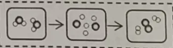 请优等生深度学习——中考科学(浙江)主要控分点例题汇总解析(一) 第1张