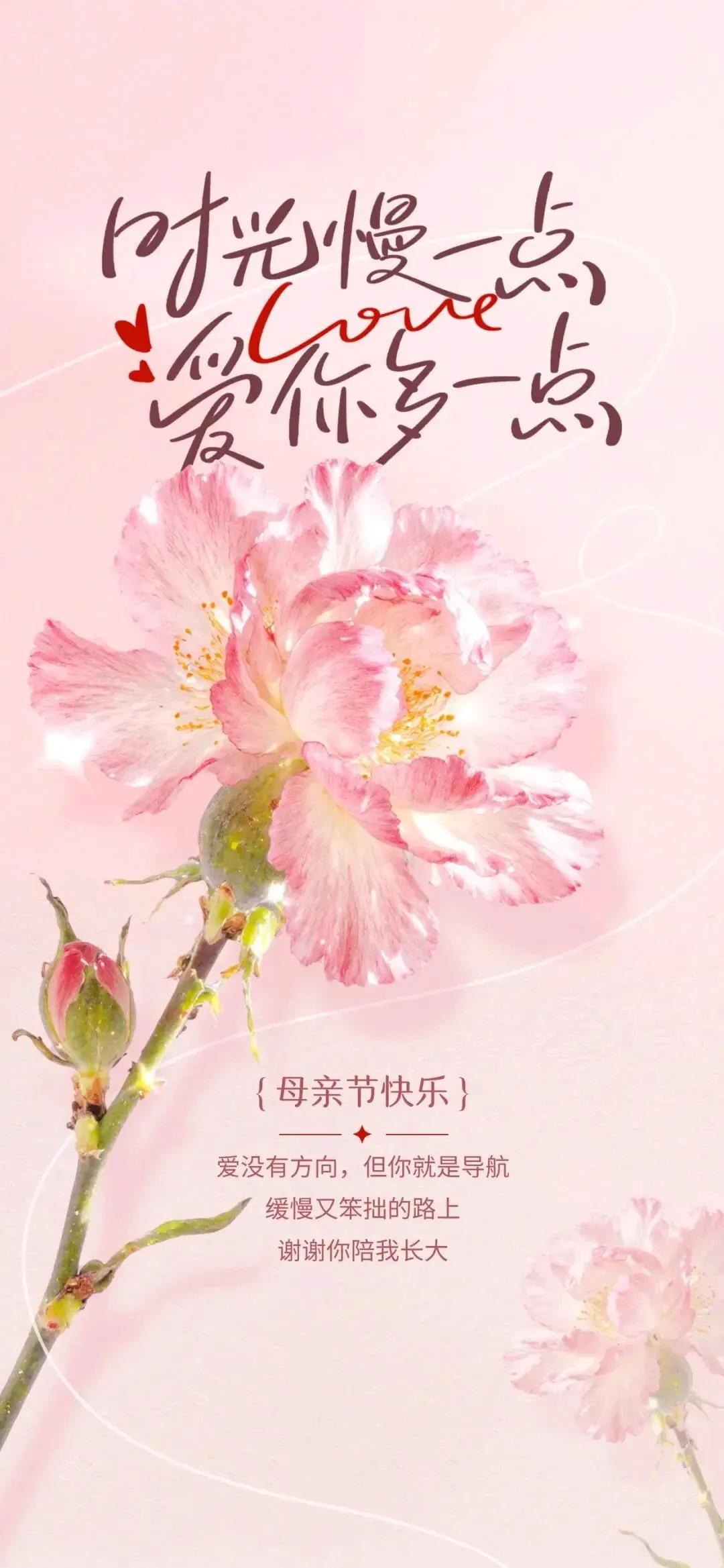 不负母亲凝望,不负青春中考 第1张