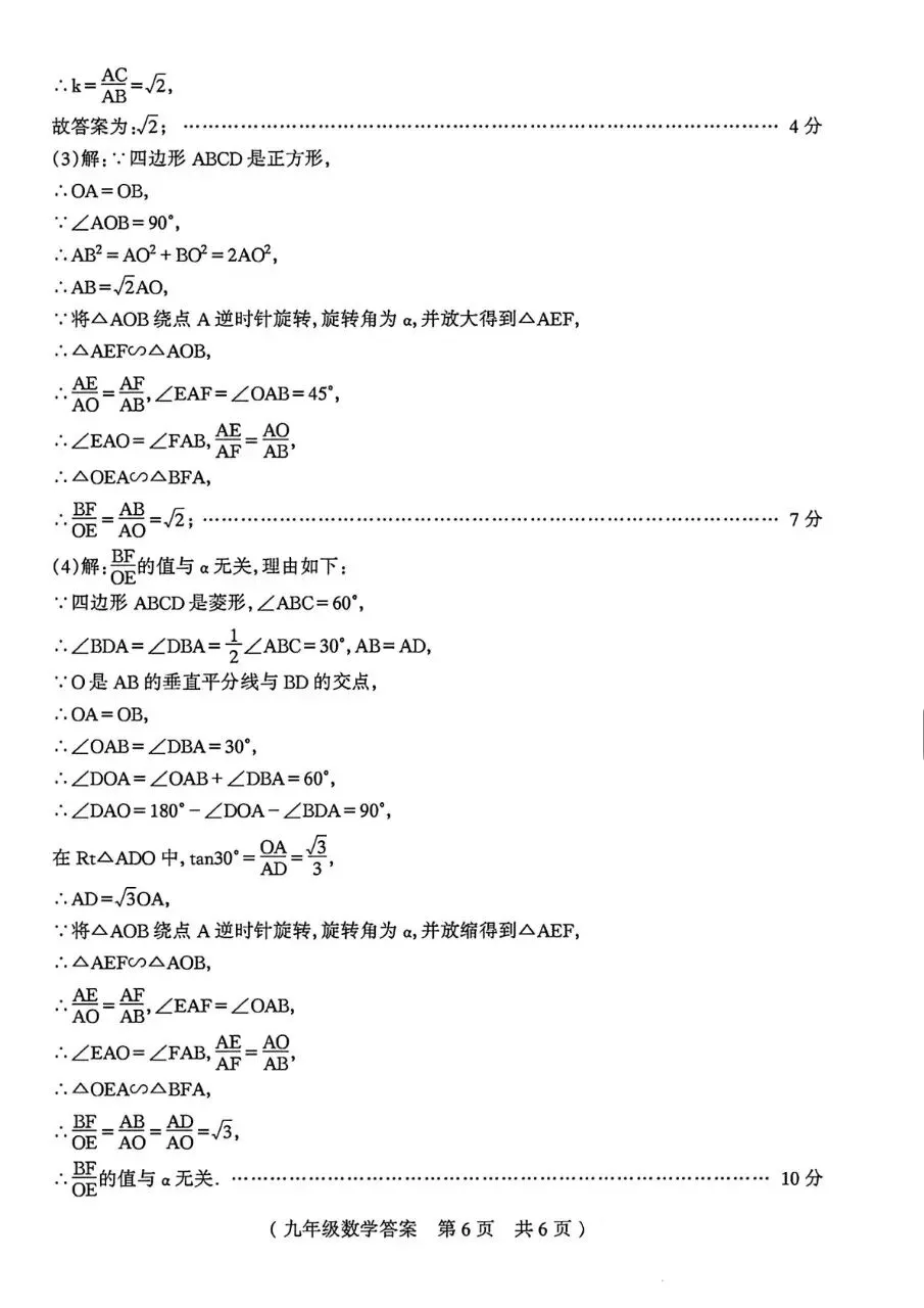 2026中考数学模拟(驻马店遂平) 第14张