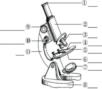 2026 年生物中考必背的知识点 第1张
