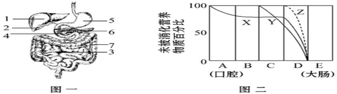 2026 年生物中考必背的知识点 第7张