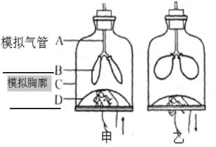 2026 年生物中考必背的知识点 第8张