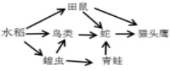 2026 年生物中考必背的知识点 第12张