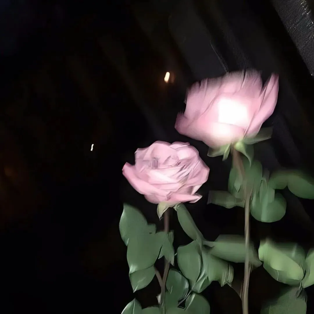 发圈文案:我就是正确答案,可你拿错了试卷 第3张
