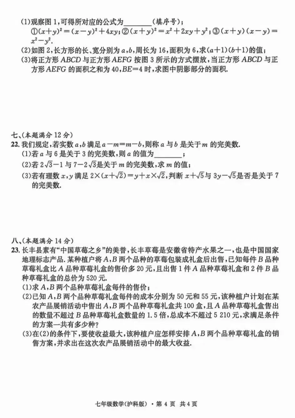 安徽第一卷•七下期中学情检测数学试卷及答案 第5张