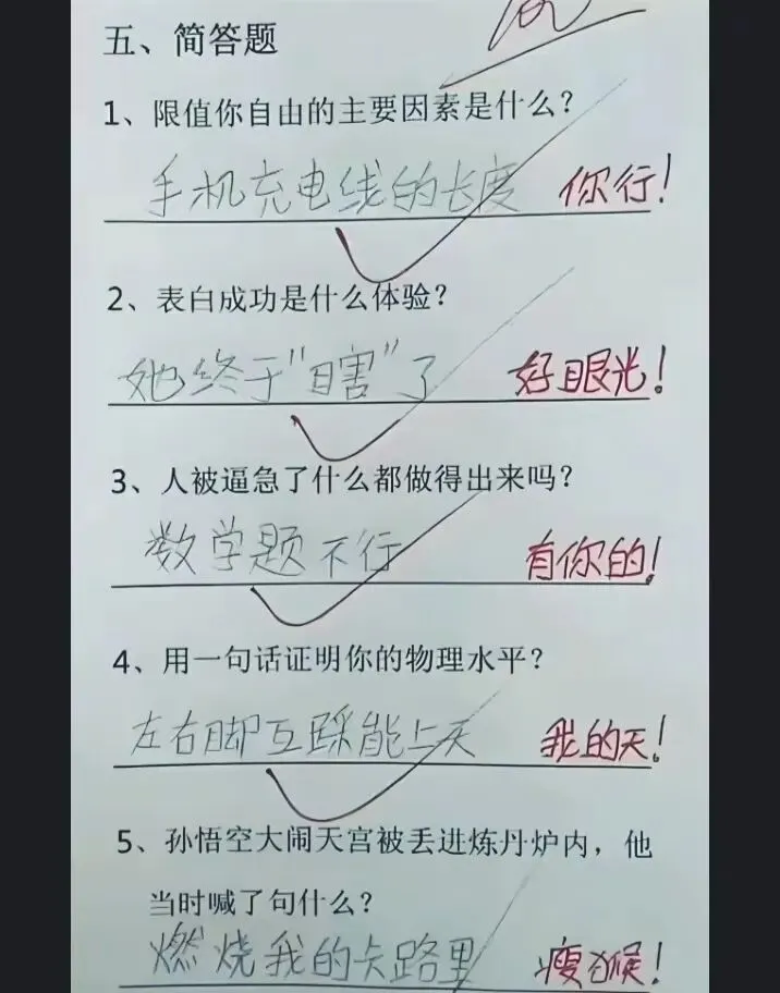 看完椅子都坐不住了!试卷最后一题的神回答,批卷老师忍不住拍桌! 第1张