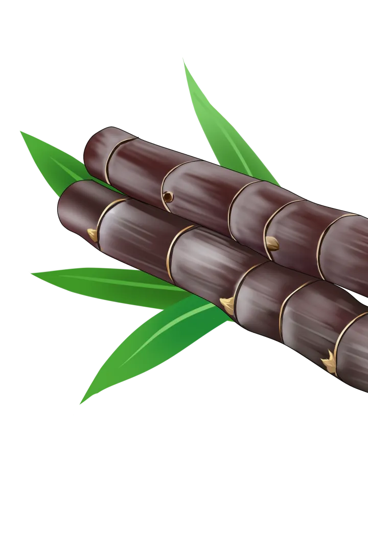 中考作文没思路?多仿范文找方法 第3张