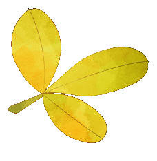 东莞家长速存!2026 东莞中考招生计划重磅解读 第4张