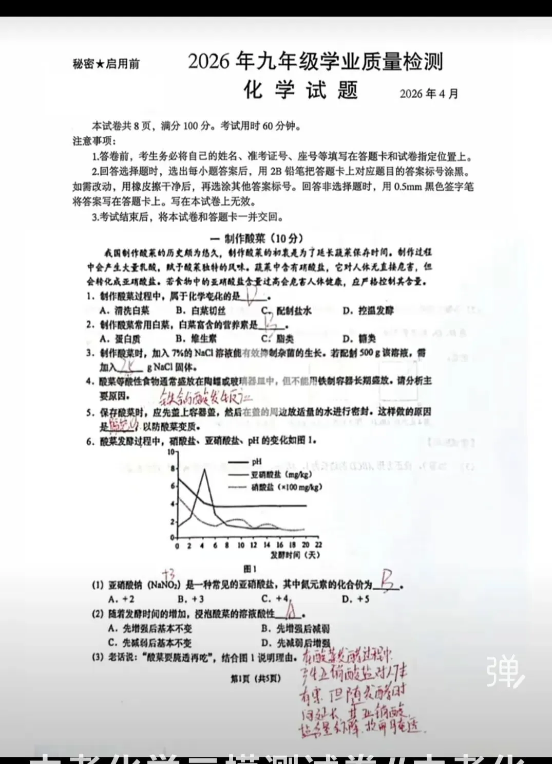 中考化学二模测试卷 第1张