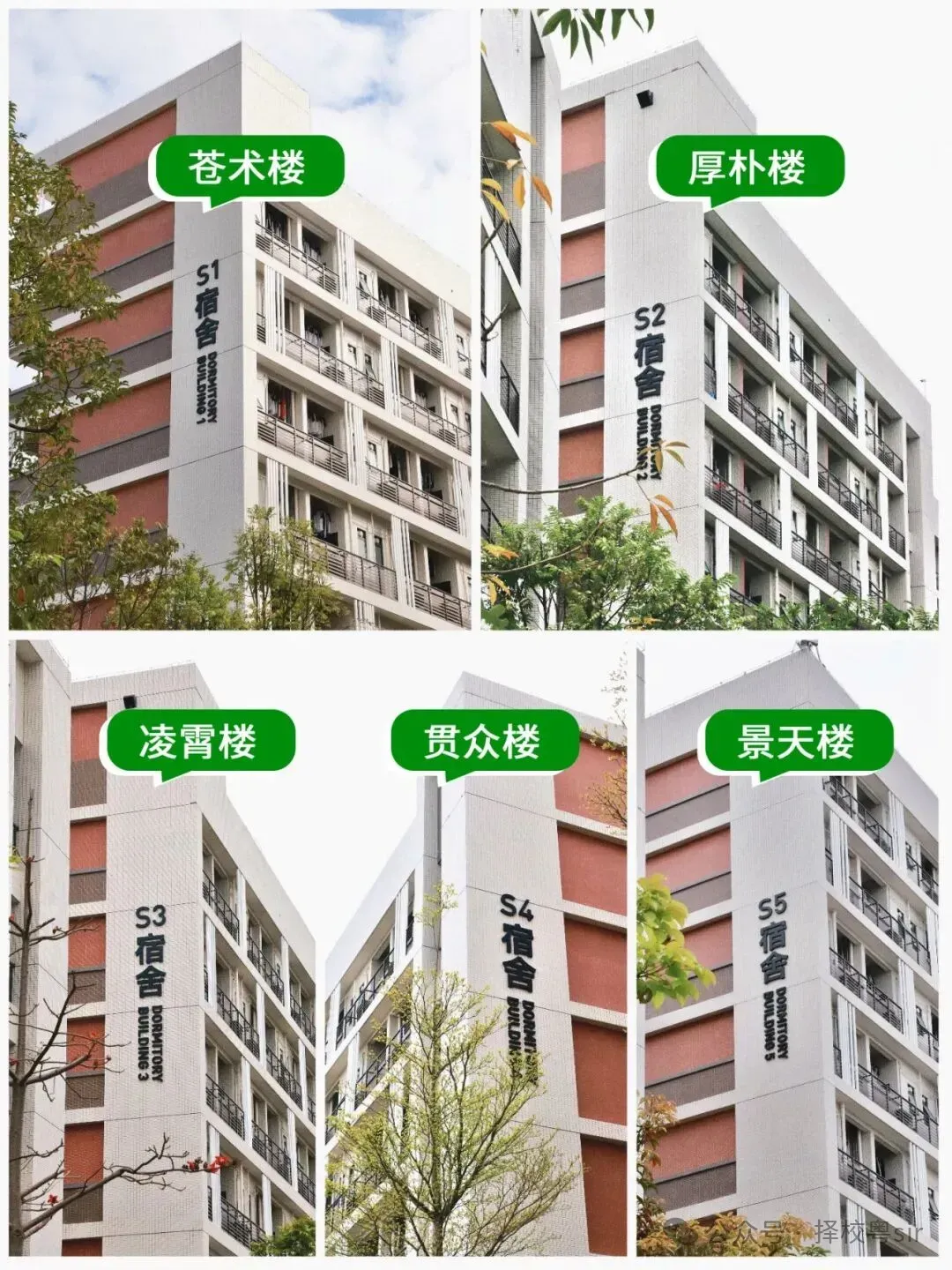 2026年广州中考五月线下咨询会时间汇总!!!广州市医药职业学校校园开放日(预约参观) 第13张