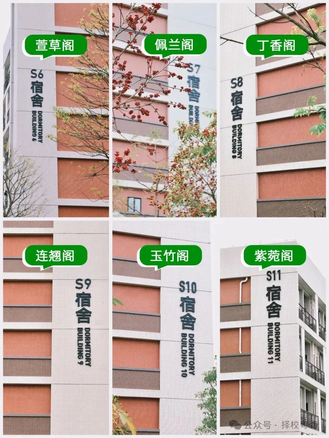 2026年广州中考五月线下咨询会时间汇总!!!广州市医药职业学校校园开放日(预约参观) 第14张