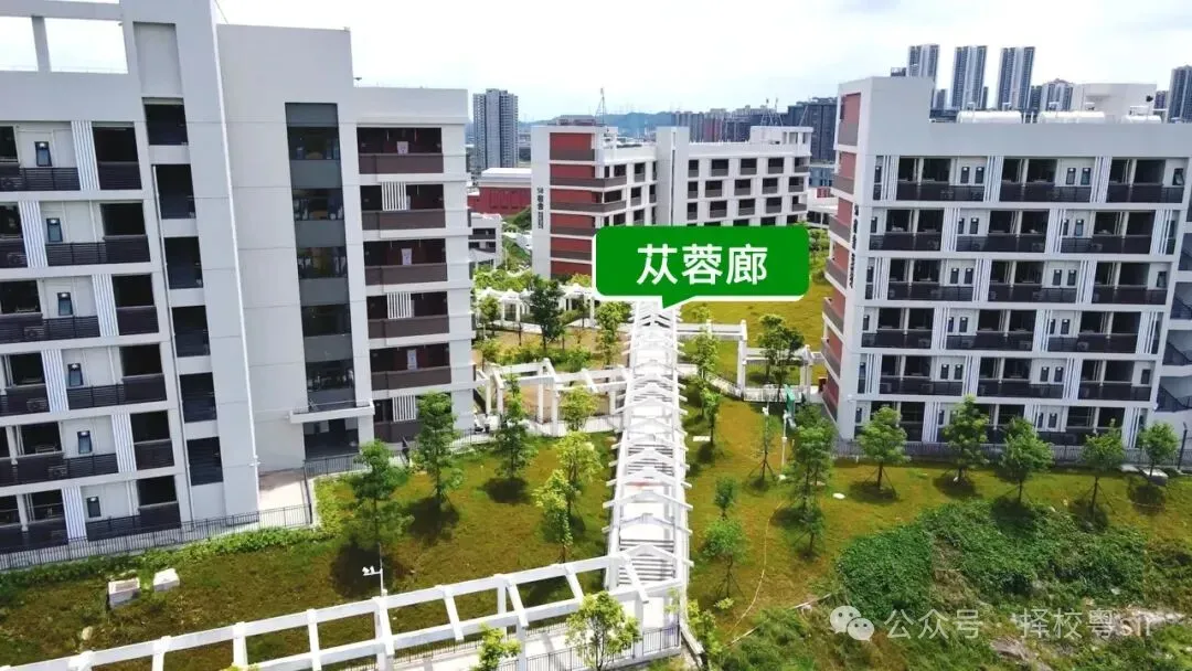 2026年广州中考五月线下咨询会时间汇总!!!广州市医药职业学校校园开放日(预约参观) 第16张